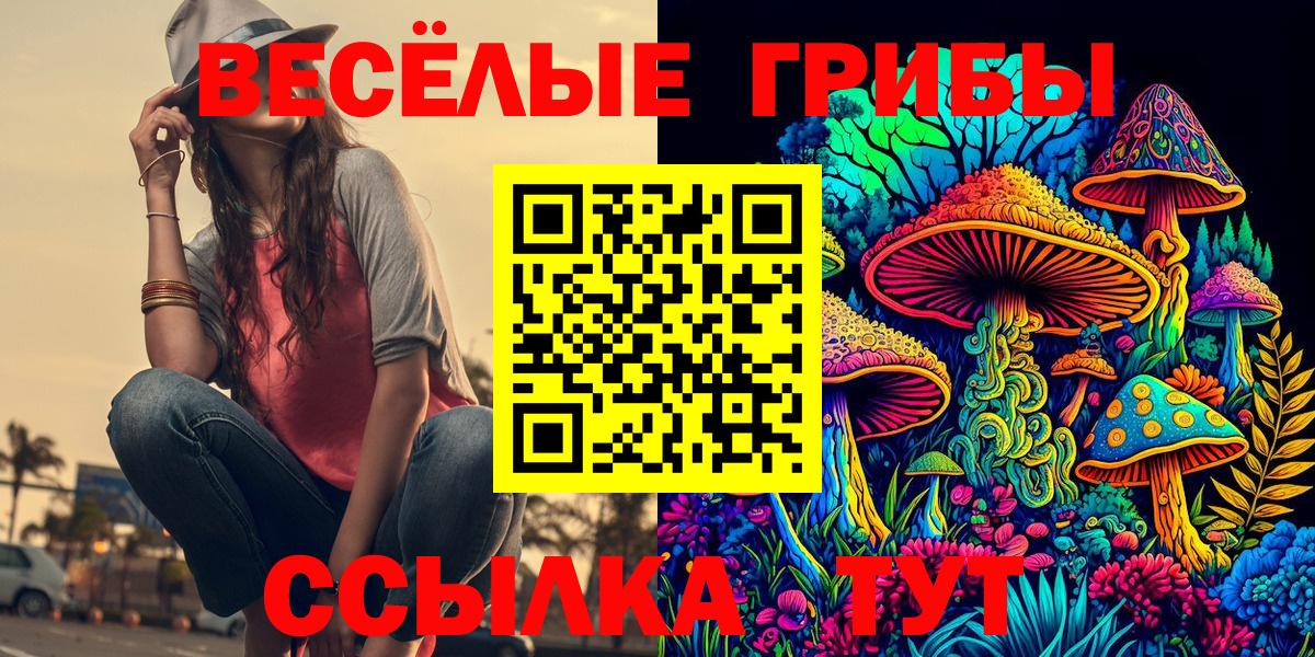 сколько стоит  Галлюциногенные грибы мицелий  Вход с VPN  Прохладный  Псилоцибиновые грибы Psilocybe 